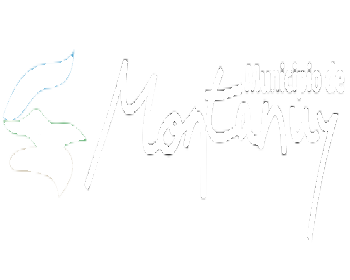 VsM-logo-montanuy2-w