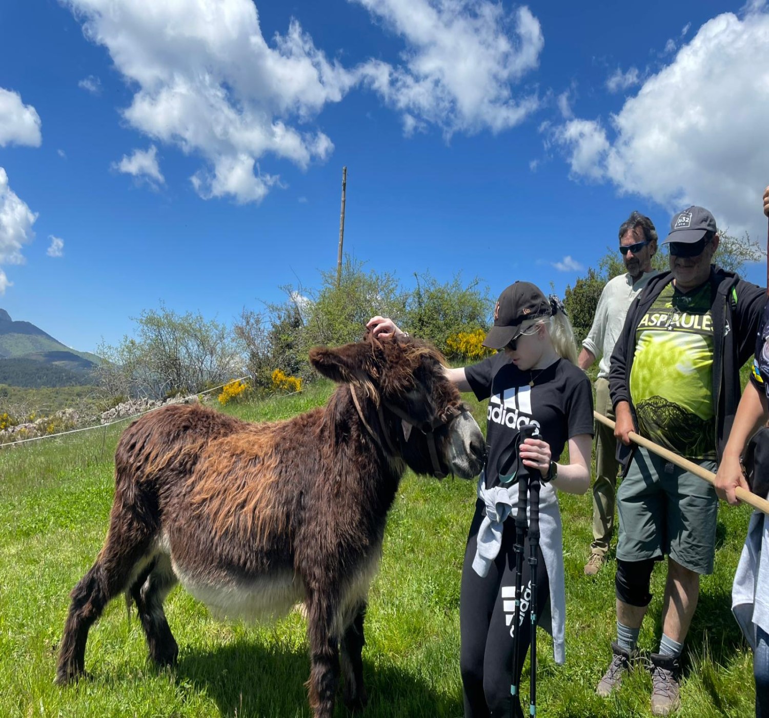 vsm-galeria-montana-inclusiva8 https://www.vsmadventurextreme.com/wp-content/uploads/2025/06/vsm-galeria-montana-inclusiva8.jpg